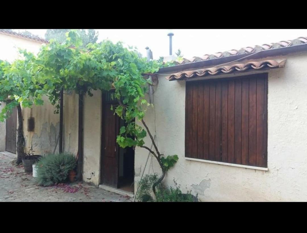 Linati'S Apartments Pollina Exterior photo